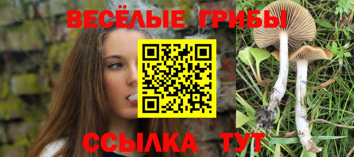 Псилоцибиновые грибы Magic Shrooms Кузнецк