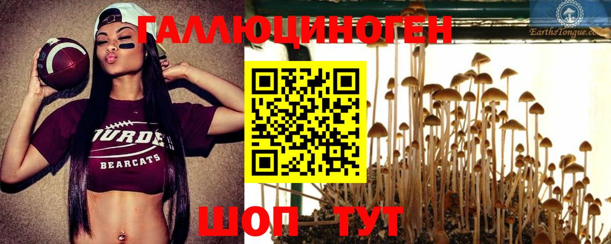 Кузнецк  Псилоцибиновые грибы Psilocybe  Вход с VPN  купить наркотик  Галлюциногенные грибы прущие грибы 